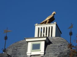 Aigle – Château Delune – Bruxelles