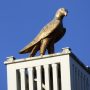 Aigle - Château Delune - Bruxelles - Image7