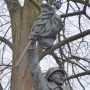 Monument aux morts - Tervuren - Image9