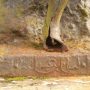 L’Arabe Salem – Parc - Tervueren - Image3
