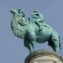 Chameau et chamelier – Jardin zoologique – Antwerpen (Anvers) - Image4