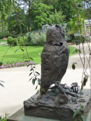 Grand-duc de Verreaux  – Jardin zoologique – Antwerpen (Anvers)