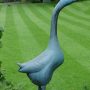 Oie – Jardin zoologique – Antwerpen (Anvers) - Image2
