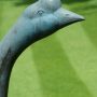 Oie – Jardin zoologique – Antwerpen (Anvers) - Image3