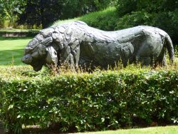Tigre de Sibérie – Jardin zoologique – Antwerpen (Anvers)