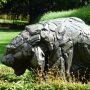 Tigre de Sibérie – Jardin zoologique – Antwerpen (Anvers) - Image1