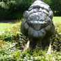 Tigre de Sibérie – Jardin zoologique – Antwerpen (Anvers) - Image2