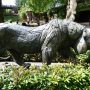 Tigre de Sibérie – Jardin zoologique – Antwerpen (Anvers) - Image3