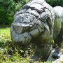 Tigre de Sibérie – Jardin zoologique – Antwerpen (Anvers) - Image4