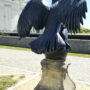 Aigle impérial (2) - Mémorial 1815 - Braine-l'Alleud - Image1