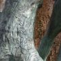 Eve et le serpent - Parc Josaphat - Schaerbeek - Image7