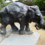 Kai-Mook – Jardin zoologique – Antwerpen (Anvers) - Image2