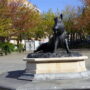 Sanglier de Florence - Fontaine - Koekelberg - Image1