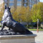 Sanglier de Florence - Fontaine - Koekelberg - Image2