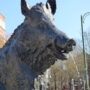 Sanglier de Florence - Fontaine - Koekelberg - Image7