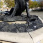 Sanglier de Florence - Fontaine - Koekelberg - Image8