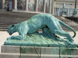 Panthère prête à se jeter sur une proie  – Jardin botanique – Saint-Josse-ten-Noode